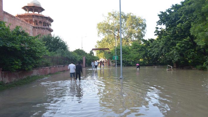 1757248107 Untitled 11 copy